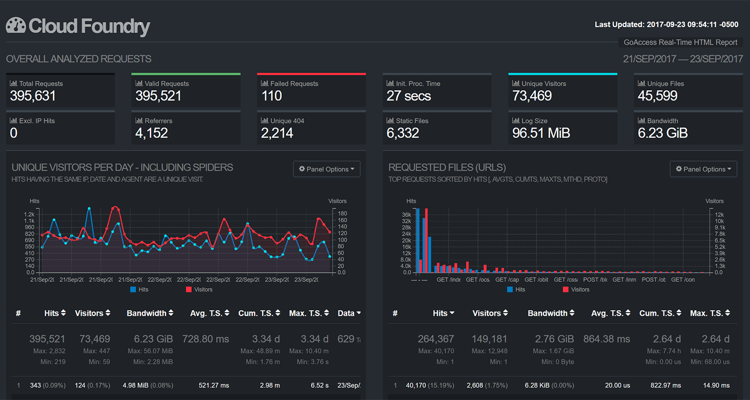 Analyzing Cloud Foundry Access Logs